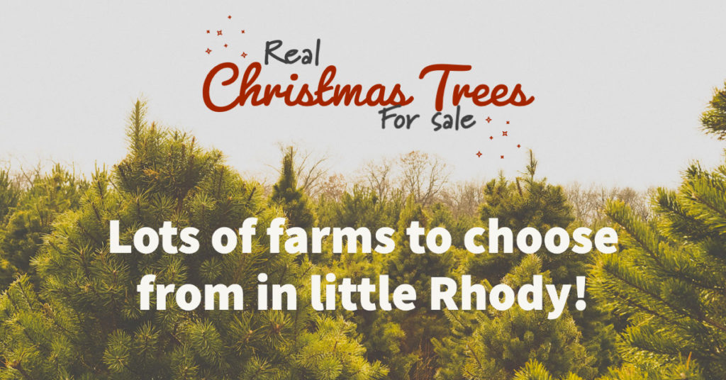 Christmas Trees for Sale feature