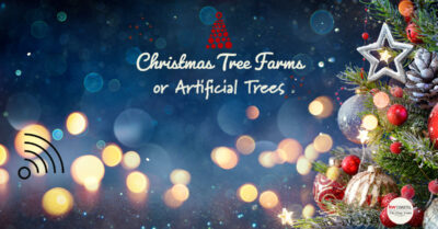 Christmas Tree Farms or Artificial Trees 1