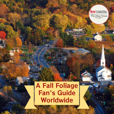 A Fall Foliage Fans Guide Worldwide